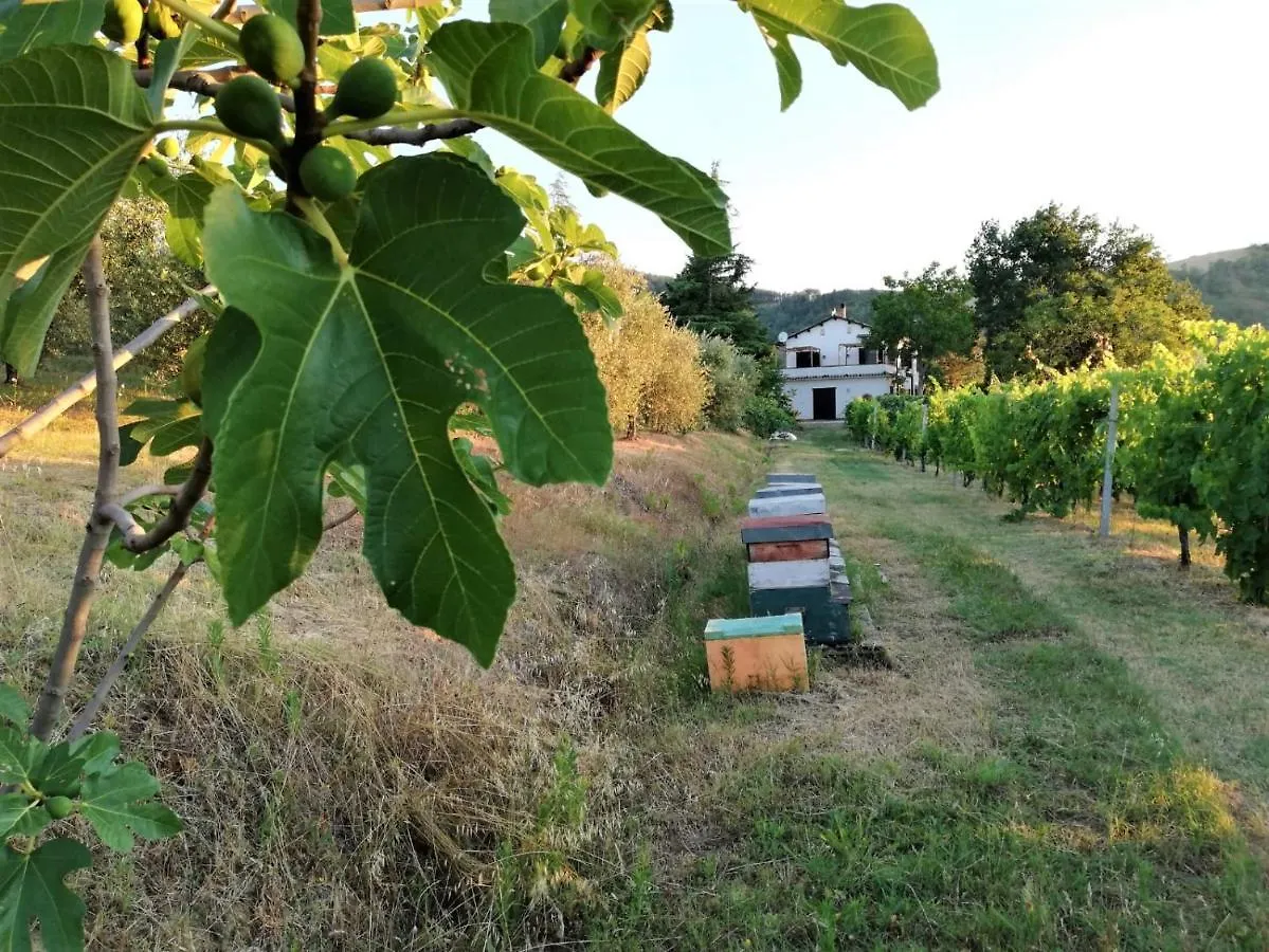 Naturaliterre Bnb - Microfattoria Dovadola